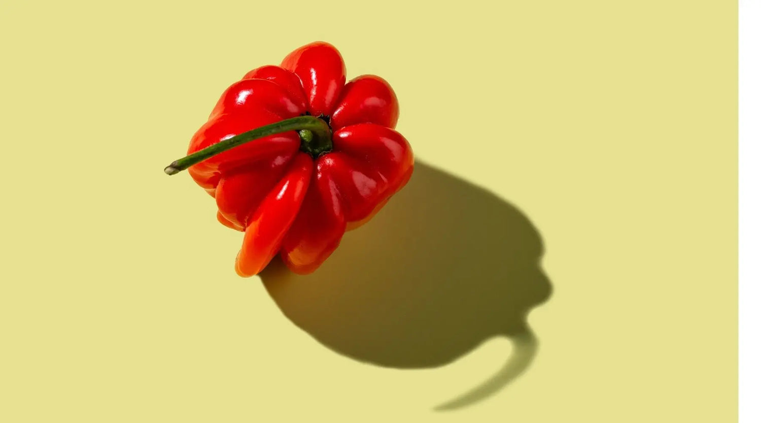 Sauce piquante lacto-fermentée bio Chiki Bam avec piments et légumes