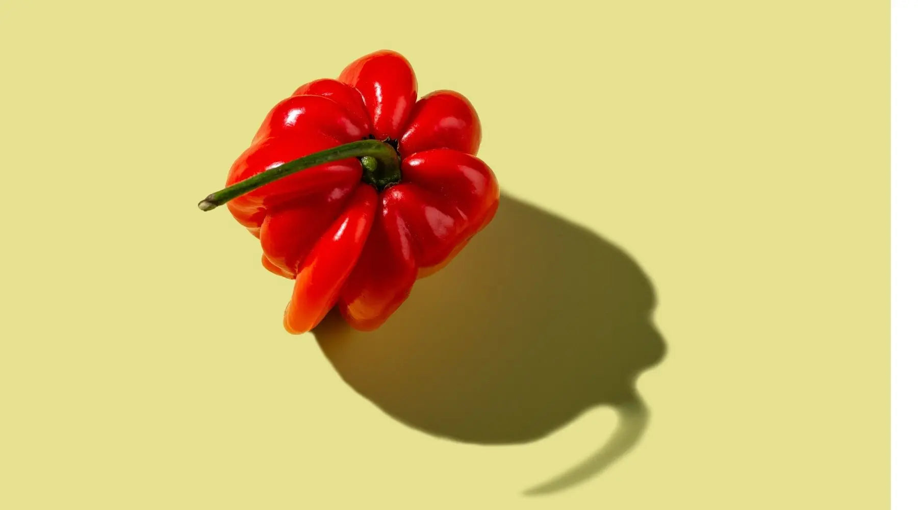 Sauce piquante lacto-fermentée bio Chiki Bam avec piments et légumes